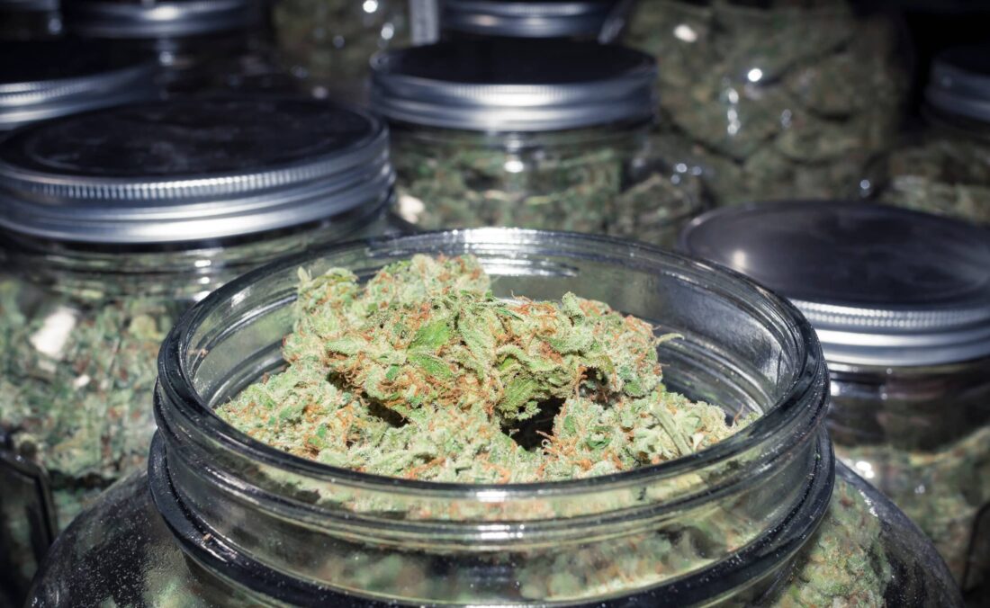 Close-up of marijuana bud jar, opened and displaying ready-to-sell strain on counter full of other jars.