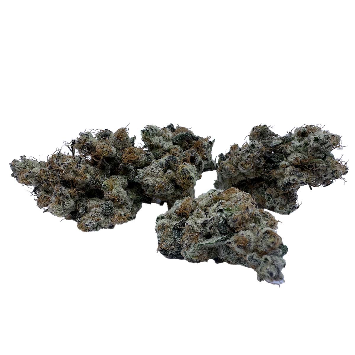 Daily Grape - Image 2