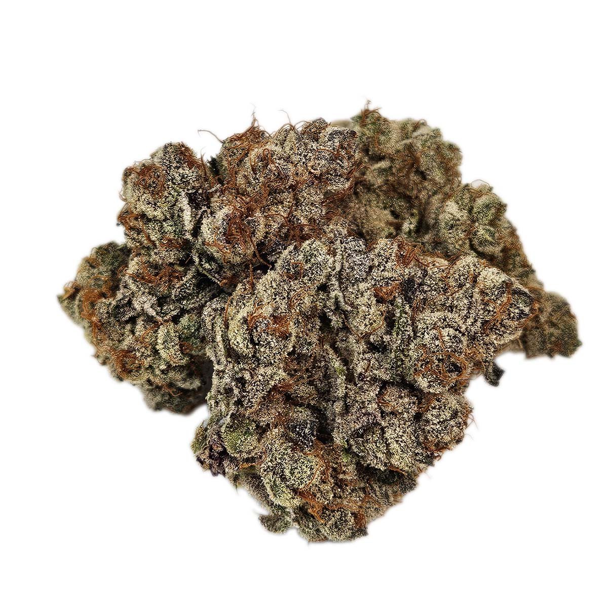 Strawberry Gary - Image 2