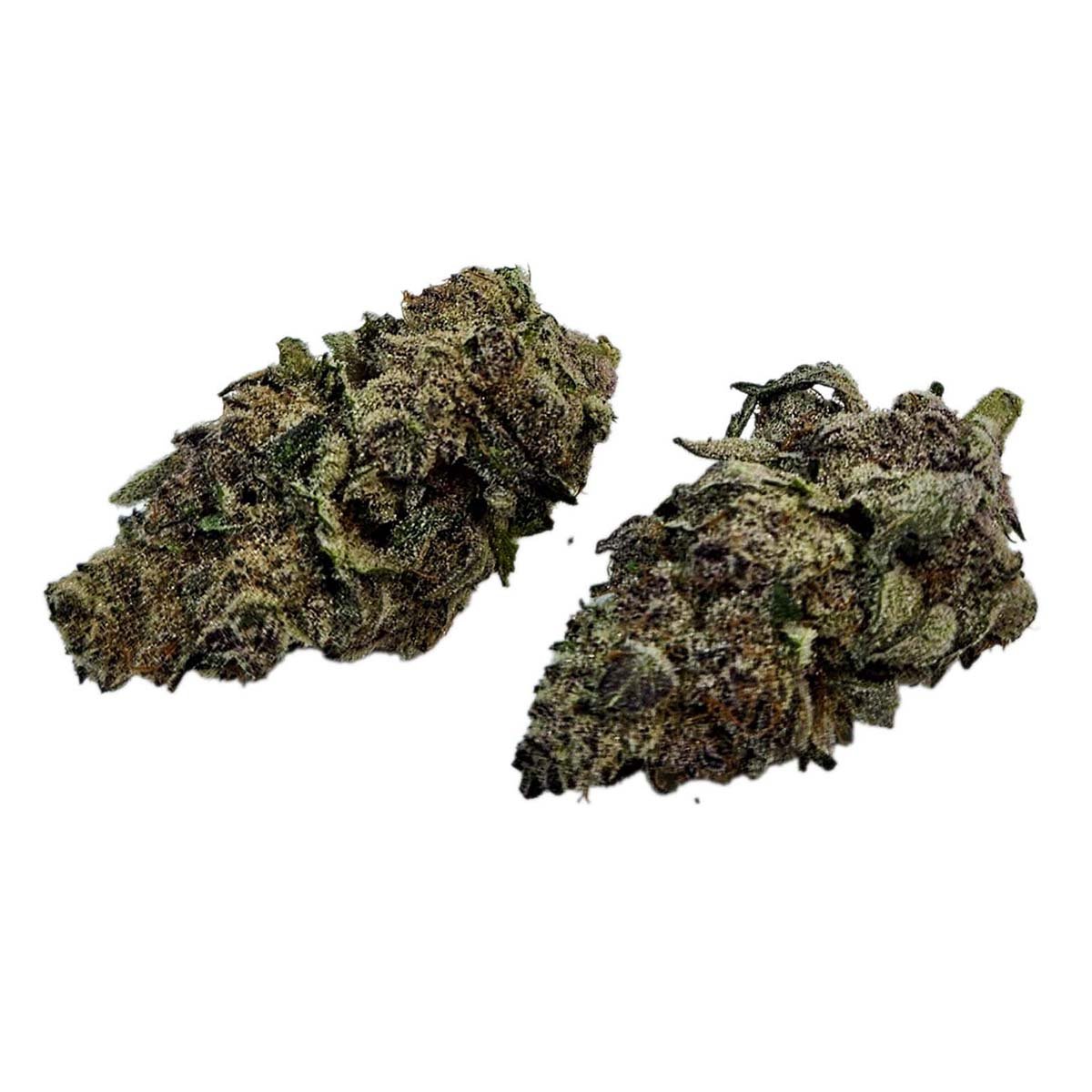 Trop Cookies Bx buds